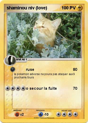 Pokemon shaminou niv (love)