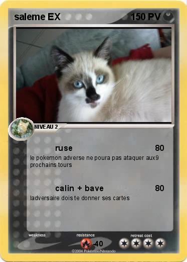 Pokemon saleme EX