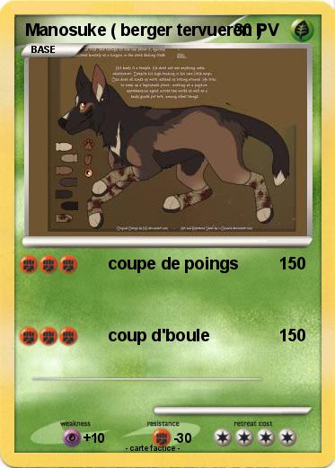 Pokemon Manosuke ( berger tervueren )