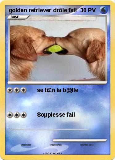 Pokemon golden retriever drôle fail