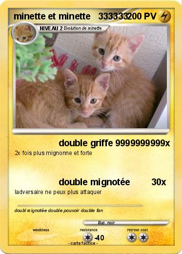 Pokemon minette et minette   333333