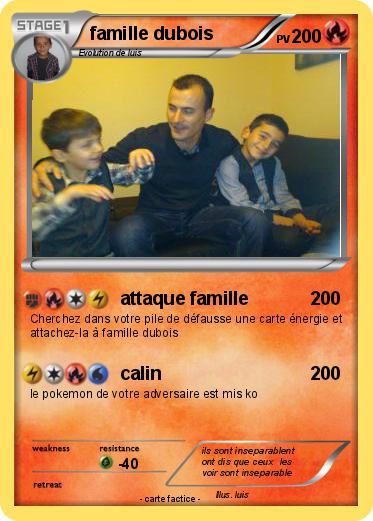 Pokemon famille dubois