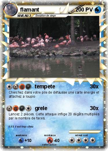 Pokemon flamant
