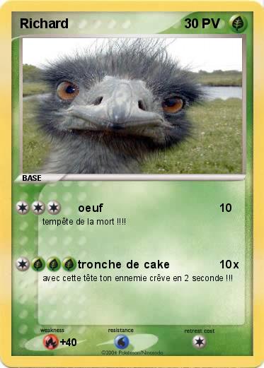 Pokemon Richard 