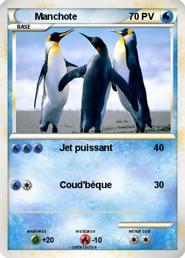 Pokemon Manchote