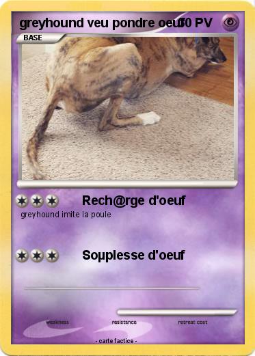 Pokemon greyhound veu pondre oeuf