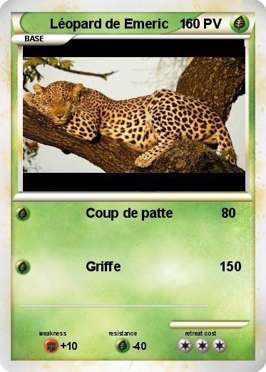 Pokemon Léopard de Emeric   1