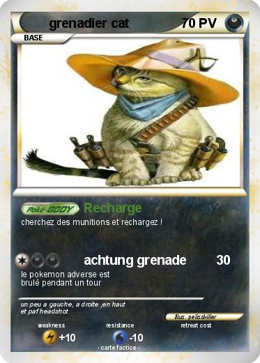 Pokemon grenadier cat
