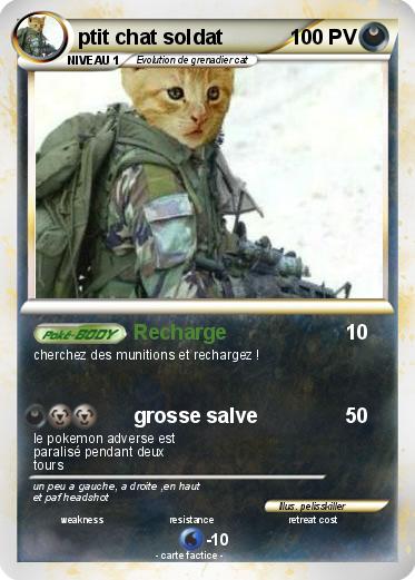 Pokemon ptit chat soldat