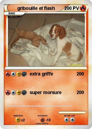 Pokemon gribouille et flash