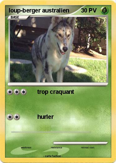 Pokemon loup-berger australien