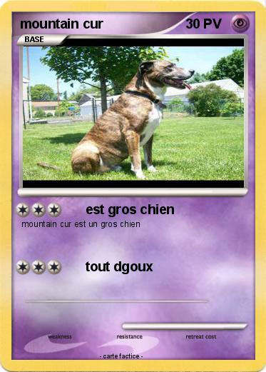 Pokemon mountain cur