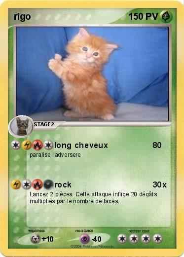 Pokemon rigo