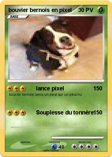 Pokemon bouvier bernois en pixel