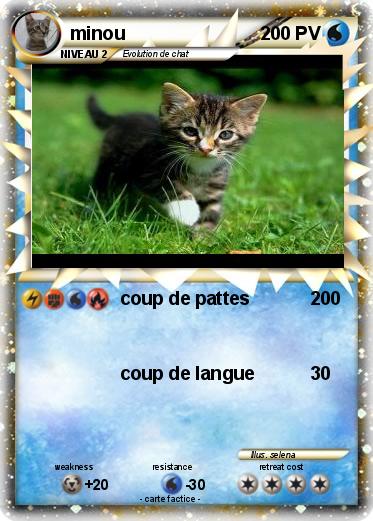 Pokemon minou