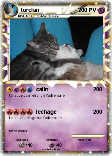 Pokemon torclair