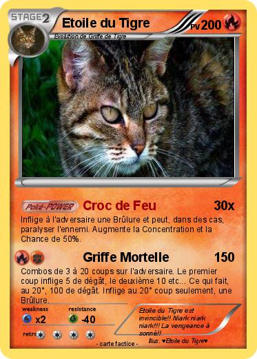 Pokemon Etoile du Tigre