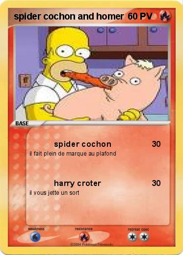 Pokemon spider cochon and homer