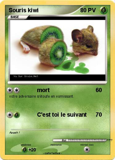 Pokemon Souris kiwi
