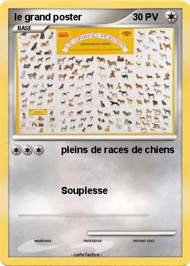 Pokemon le grand poster