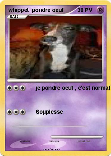 Pokemon whippet  pondre oeuf