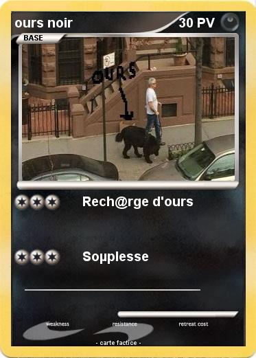 Pokemon ours noir