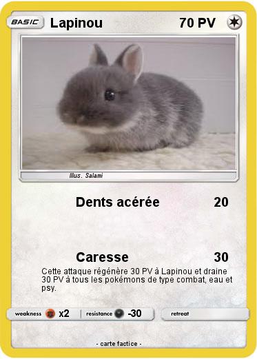 Pokemon Lapinou