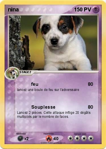 Pokemon nina