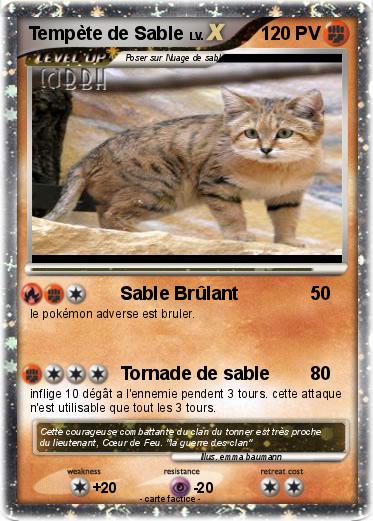 Pokemon Tempète de Sable