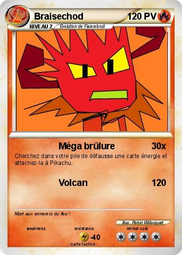 Pokemon Braisechod