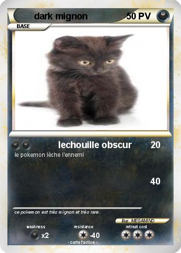Pokemon dark mignon