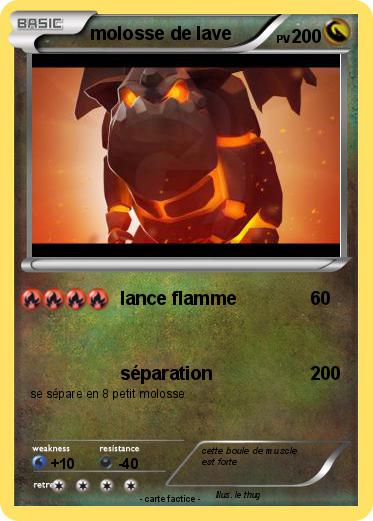 Pokemon molosse de lave