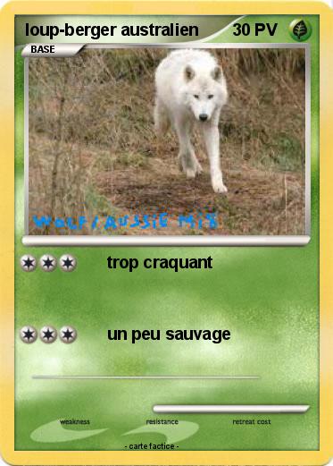 Pokemon loup-berger australien