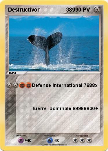 Pokemon Destructivor                  389  
