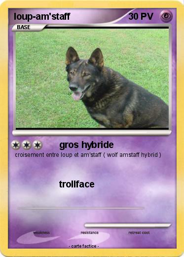 Pokemon loup-am'staff