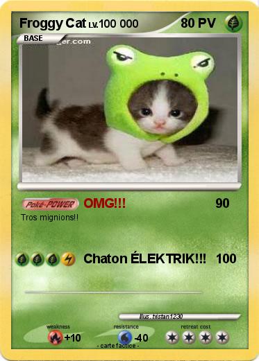 Pokemon Froggy Cat