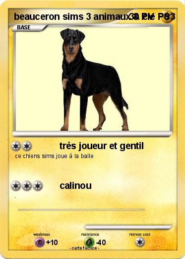 Pokemon beauceron sims 3 animaux & cie PS3