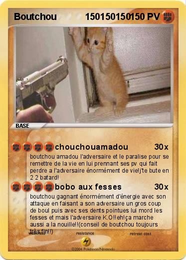 Pokemon Boutchou           150150150