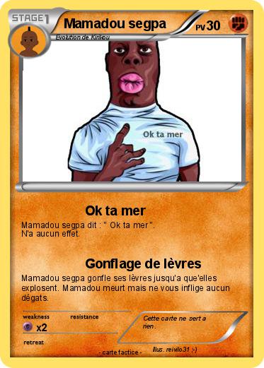 Pokemon Mamadou segpa