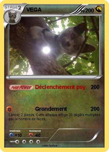 Pokemon VEGA
