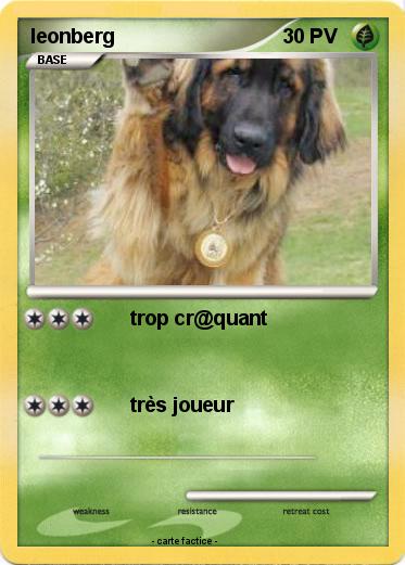 Pokemon leonberg