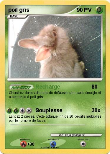 Pokemon poil gris