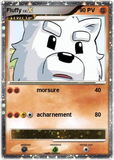 Pokemon Fluffy