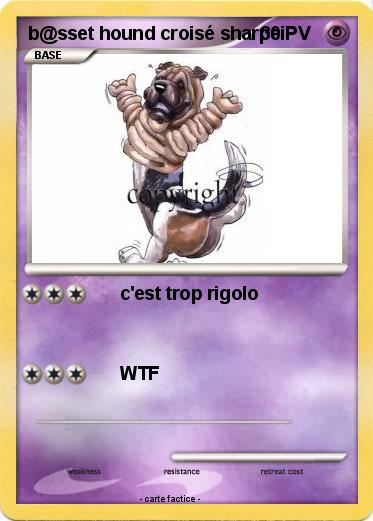 Pokemon b@sset hound croisé sharpei