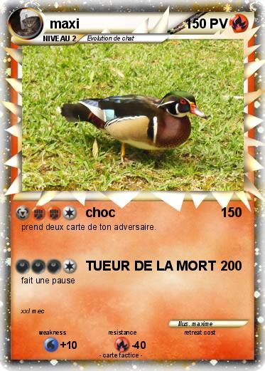 Pokemon maxi