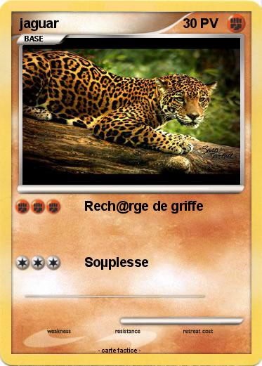 Pokemon jaguar