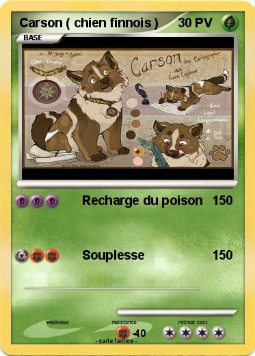 Pokemon Carson ( chien finnois )