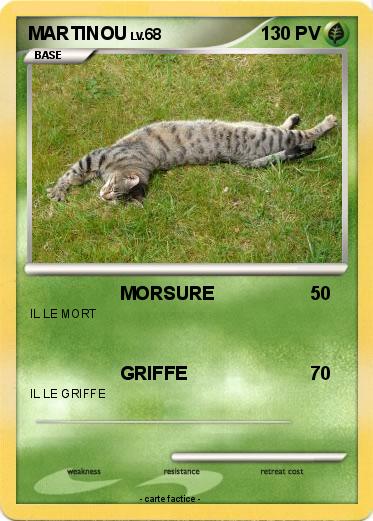 Pokemon MARTINOU