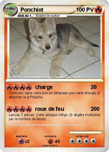 Pokemon Ponchiot