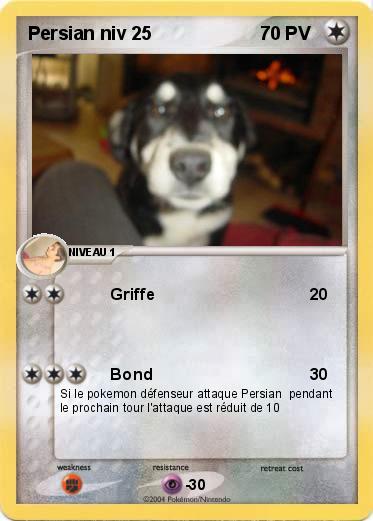 Pokemon Persian niv 25